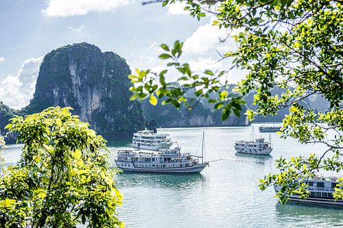 Blick über eine Ansammlung von Booten in der Ha Long Bay in Vietnam