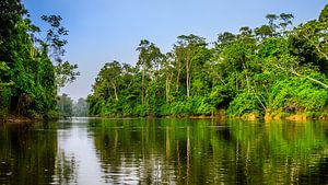 Kabalebo-Fluss in Suriname