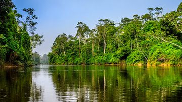 Kabalebo rivier in Suriname van René Holtslag