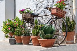 Cycling in Puglia. by Arie Slotemaker