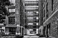 Coolhaven Rotterdam
