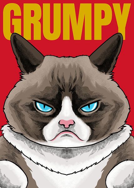Grumpy Cat Meme von Adam Khabibi