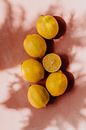 Zomers tafereel, gele citroenen op roze achtergrond | deel 1 van Yvette Baur thumbnail
