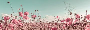 Poppy Field Vintage