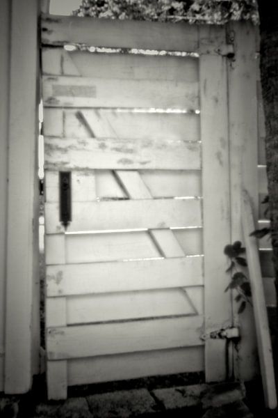 Pinhole deur 3145 par Rudy Umans