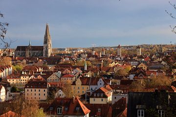 Uitzicht op Regensburg van Thomas Jäger