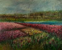 Holländische Blumenzwiebelfelder