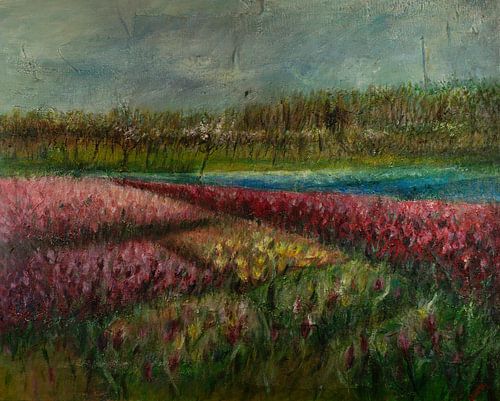 Holländische Blumenzwiebelfelder