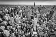 Wolkenkrabbers van New York van Mark De Rooij thumbnail