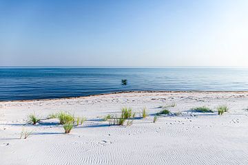 Strand, zee en blauwe lucht van Sascha Kilmer