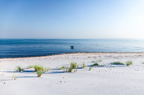 Beach, the Sea and Blue Sky by Sascha Kilmer
