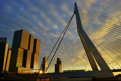 Rotterdam by Michel van Kooten