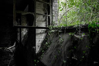 La vie après la mort