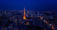 Tokyo Tower par Sander Peters Aperçu