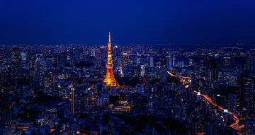 Tokyo Tower van Sander Peters Fotografie