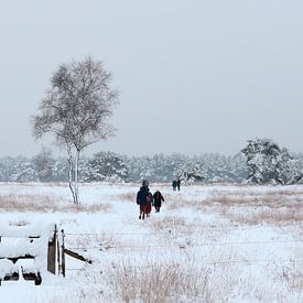 Sneeuwlandschap Breeveen van Jan Katsman