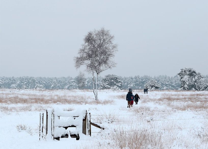 Sneeuwlandschap Breeveen von Jan Katsman