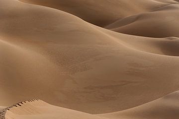 Voetstappen in de woestijn van Photolovers reisfotografie