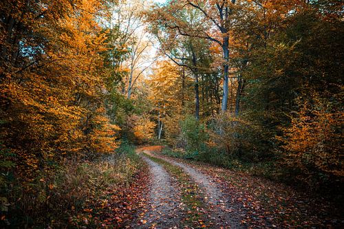 Wandern durch den Dorm