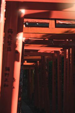 Les portes Tori dans les temples japonais sur Endre Lommatzsch