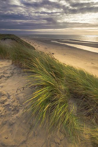 Amelandse duinen by Niels Barto