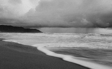 Mistig, dromerig strand van Costa Rica zwart-wit, ruig van Nicole de Ruijter
