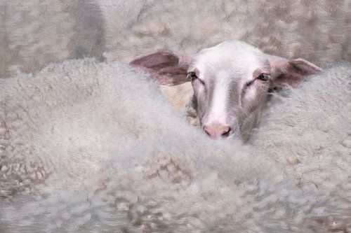 The Wool Factory 5