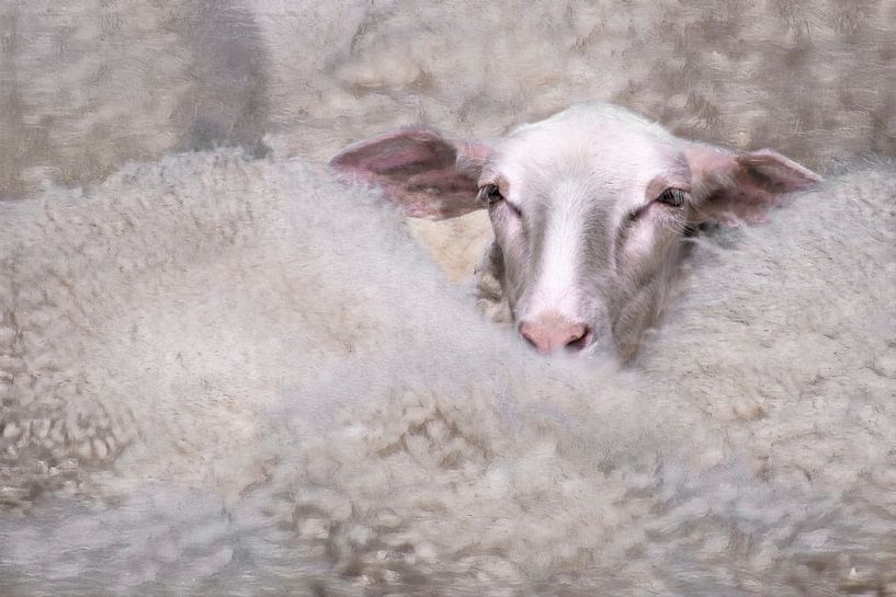 The Wool Factory 5 par Marc Lourens