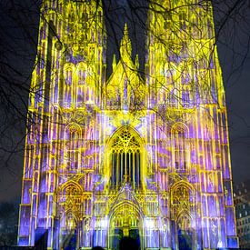 Bright Festival Brussel 2025 - Videomapping kathedraal I van Daan Duvillier | Regio in de Kijker