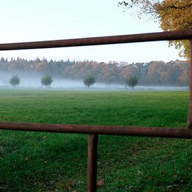 Rising fog over the meadow along the tree line by Idema Media