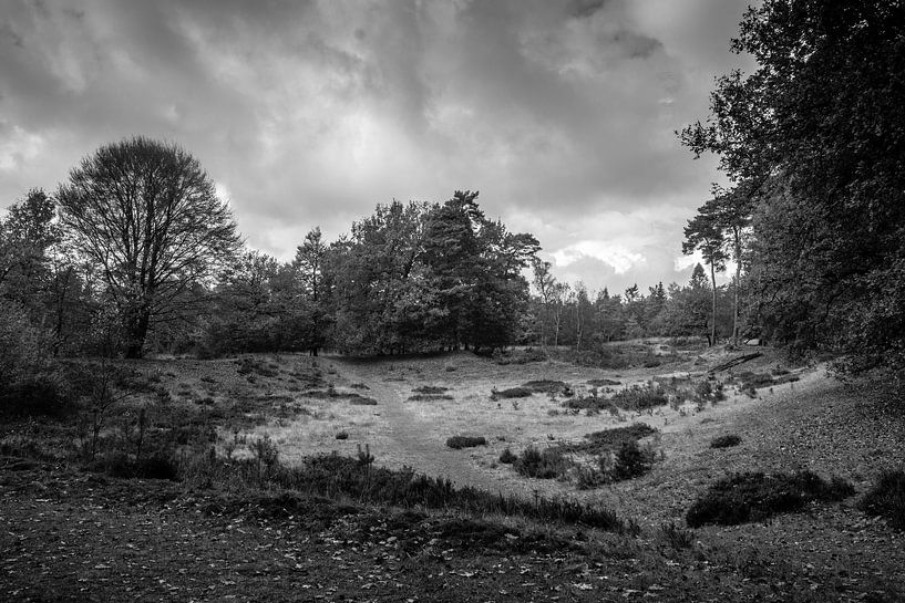  landschap in Drenthe van Karen Klein