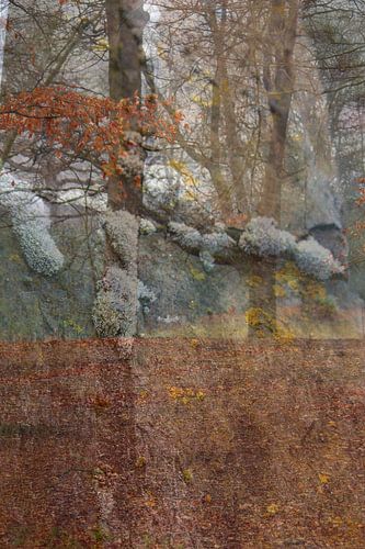 Abstracte fotografie | Fantasie | Modern abstract | Nachtvorst kleurt mos op beton