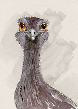 Ostrich watercolor drawing
