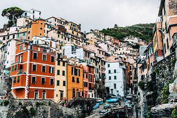 Riomaggiore - Cinque Terre - Italie van Lizanne van Spanje