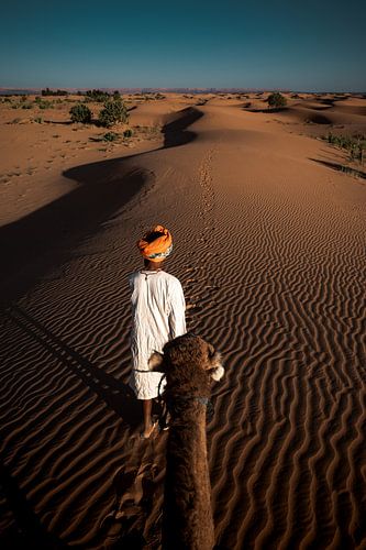 A journey through the desert