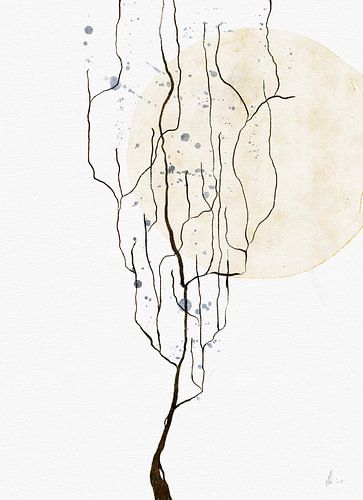 SHINING IN THE MOONLIGHT