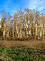 Herfst