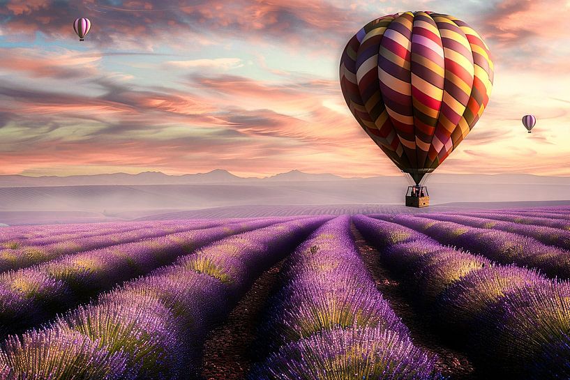 Montgolfière au-dessus d'un champ de lavande par Imperial Art House