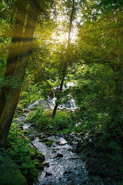 Kleine waterval in het bos met mos op stenen van Martin Köbsch