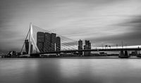 Rotterdam op z'n zachtst. van Kevin van Deursen thumbnail