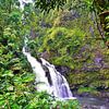 Hawaii - Wasserfall sur Doris Kroos