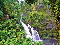 Hawaii - Wasserfall