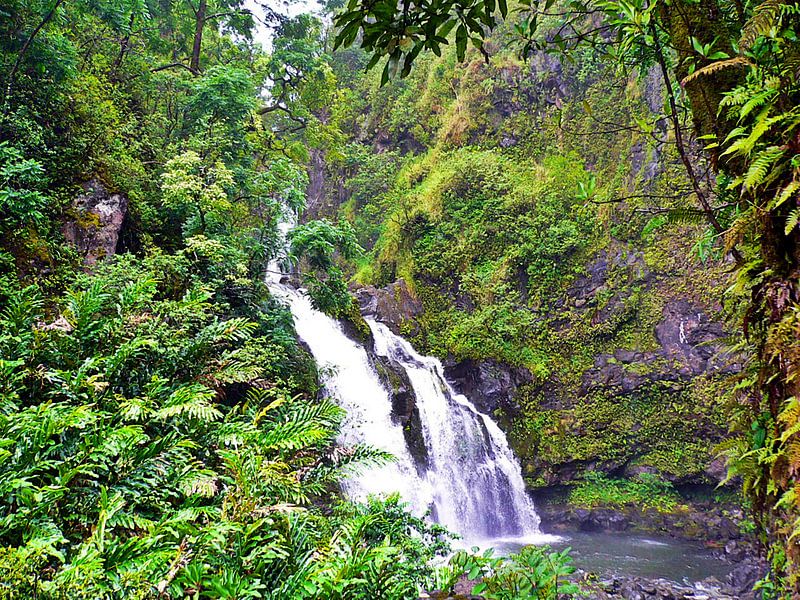 Hawaii - Wasserfall by Doris Kroos