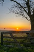 Nebliger Sonnenaufgang über der Wiese