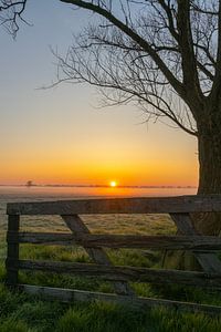 Mistige zonsopkomst boven het weiland van Bram Lubbers