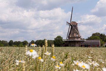 Korenmolen in Veldhoven von André Dorst