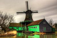 Oliemolen het Pink