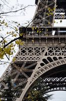 Parijs - Eiffeltoren doorheen de bomen - Kleur