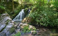 Tal der wilden Endert, Eifel, Rheinland-Pfalz, Deutschland von Alexander Ludwig Miniaturansicht