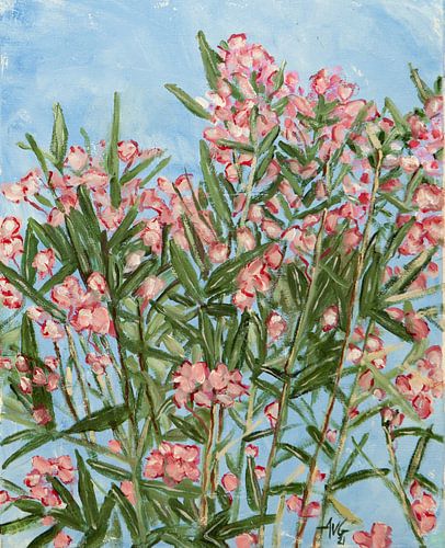 Oleander
